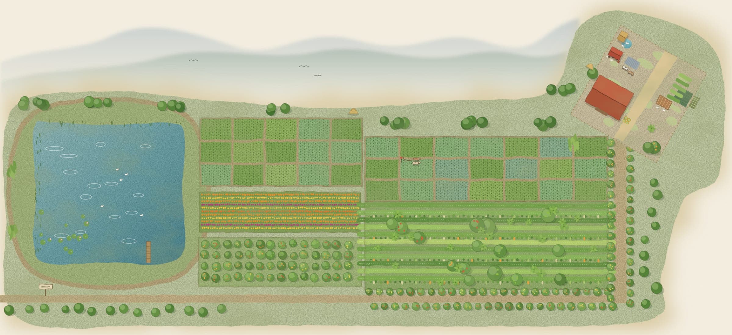 Illustrated map of Halo Farm: the pond, rice paddies, flower field, fruit orchard, vegetable and fruit forest, the fruit tree lane and the homestead